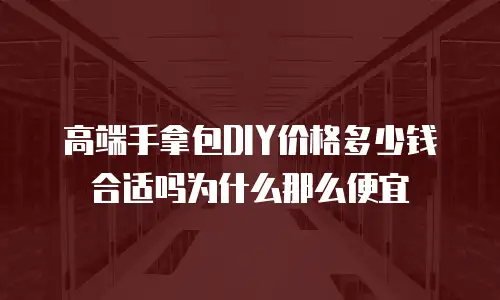高端手拿包DIY价格多少钱合适吗为什么那么便宜