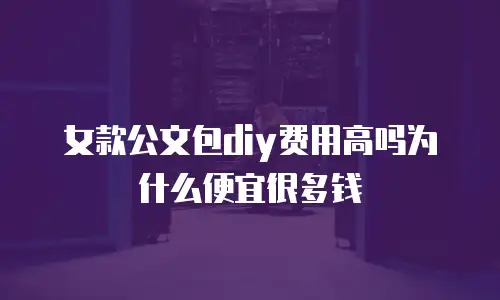 女款公文包diy费用高吗为什么便宜很多钱
