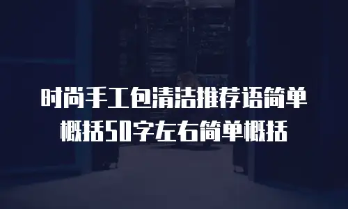 时尚手工包清洁推荐语简单概括50字左右简单概括