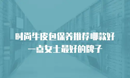 时尚牛皮包保养推荐哪款好一点女士最好的牌子