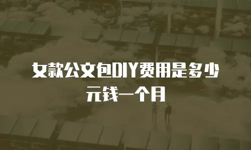 女款公文包DIY费用是多少元钱一个月
