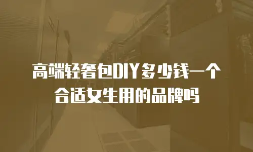高端轻奢包DIY多少钱一个合适女生用的品牌吗