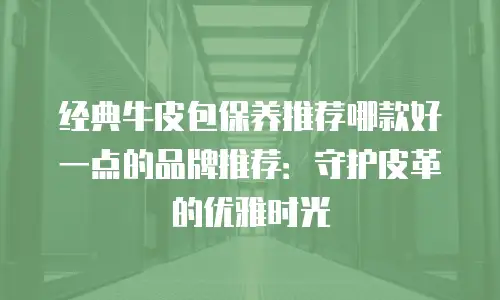 经典牛皮包保养推荐哪款好一点的品牌推荐：守护皮革的优雅时光