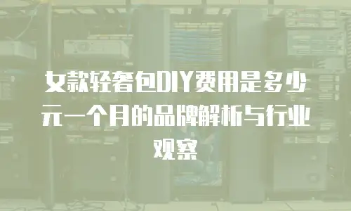 女款轻奢包DIY费用是多少元一个月的品牌解析与行业观察