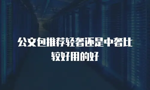 公文包推荐轻奢还是中奢比较好用的好