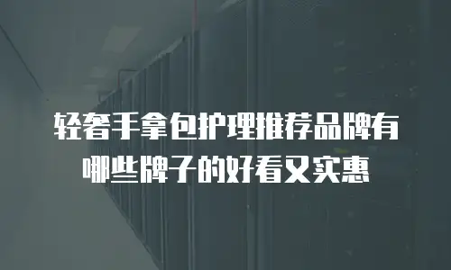 轻奢手拿包护理推荐品牌有哪些牌子的好看又实惠