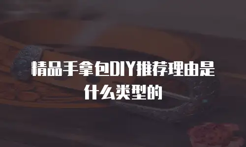 精品手拿包DIY推荐理由是什么类型的