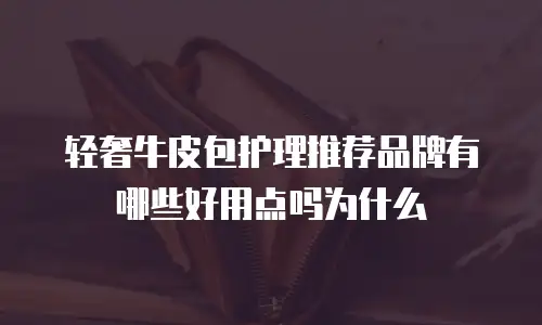 轻奢牛皮包护理推荐品牌有哪些好用点吗为什么