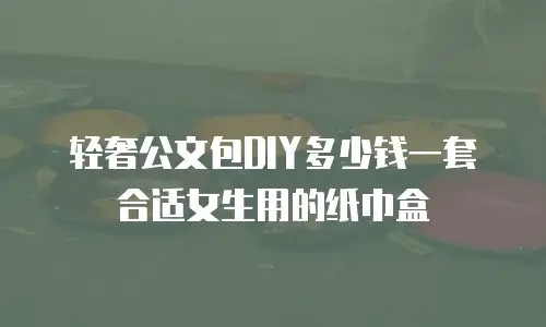 轻奢公文包DIY多少钱一套合适女生用的纸巾盒