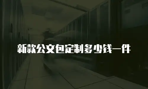 新款公文包定制多少钱一件