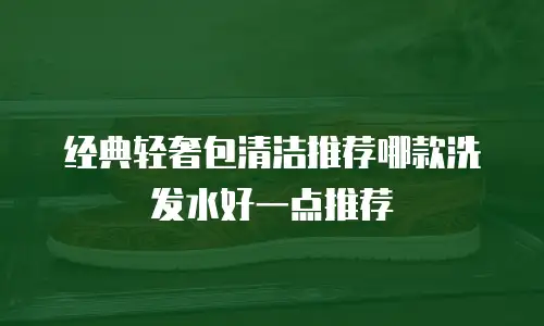 经典轻奢包清洁推荐哪款洗发水好一点推荐