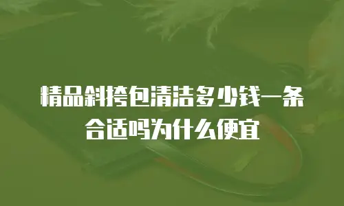 精品斜挎包清洁多少钱一条合适吗为什么便宜