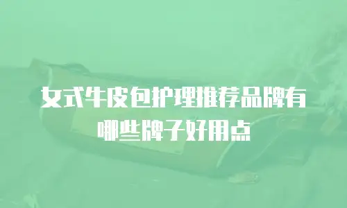 女式牛皮包护理推荐品牌有哪些牌子好用点