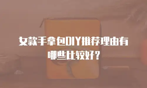 女款手拿包DIY推荐理由有哪些比较好？