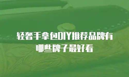 轻奢手拿包DIY推荐品牌有哪些牌子最好看
