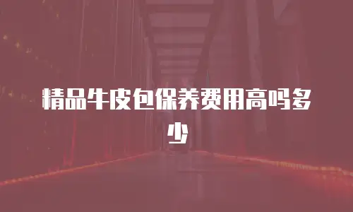 精品牛皮包保养费用高吗多少