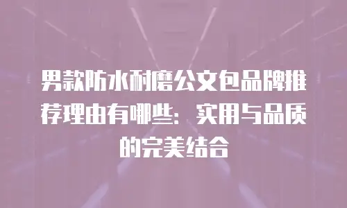 男款防水耐磨公文包品牌推荐理由有哪些：实用与品质的完美结合