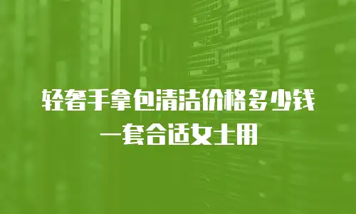 轻奢手拿包清洁价格多少钱一套合适女士用