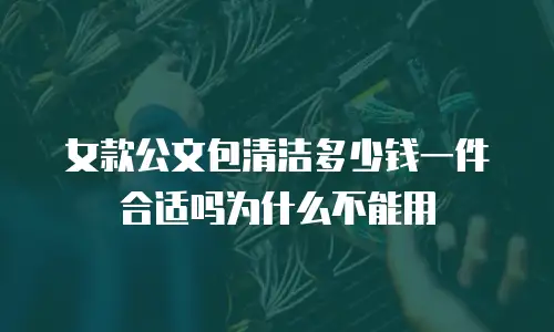 女款公文包清洁多少钱一件合适吗为什么不能用