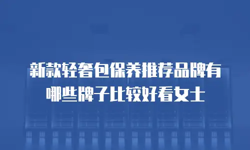 新款轻奢包保养推荐品牌有哪些牌子比较好看女士