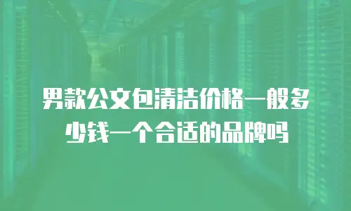 男款公文包清洁价格一般多少钱一个合适的品牌吗