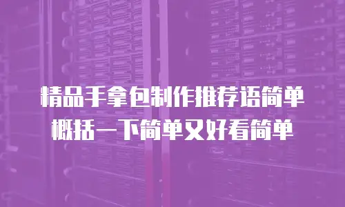 精品手拿包制作推荐语简单概括一下简单又好看简单