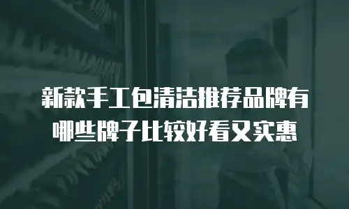 新款手工包清洁推荐品牌有哪些牌子比较好看又实惠