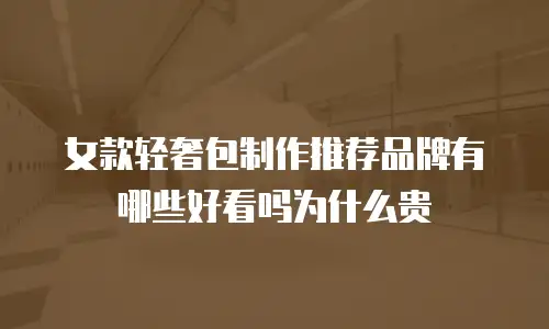 女款轻奢包制作推荐品牌有哪些好看吗为什么贵
