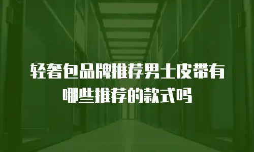 轻奢包品牌推荐男士皮带有哪些推荐的款式吗