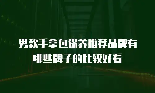 男款手拿包保养推荐品牌有哪些牌子的比较好看