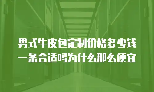 男式牛皮包定制价格多少钱一条合适吗为什么那么便宜