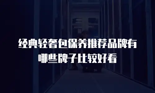 经典轻奢包保养推荐品牌有哪些牌子比较好看