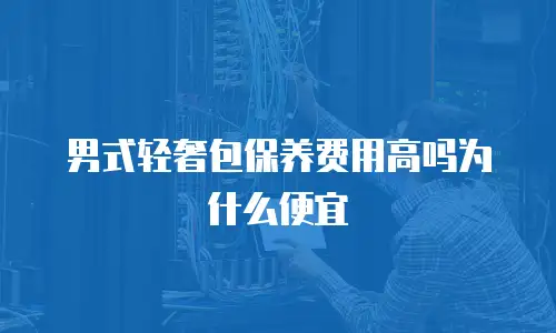 男式轻奢包保养费用高吗为什么便宜