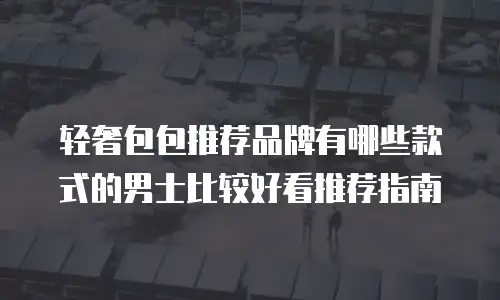 轻奢包包推荐品牌有哪些款式的男士比较好看推荐指南
