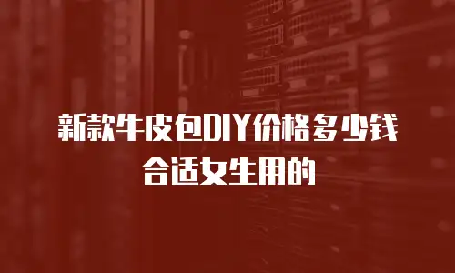 新款牛皮包DIY价格多少钱合适女生用的