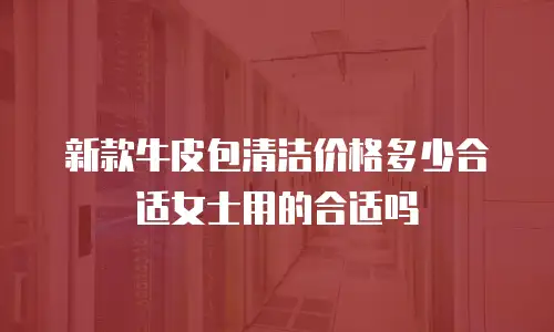 新款牛皮包清洁价格多少合适女士用的合适吗