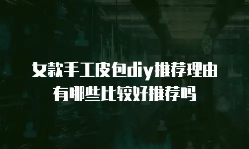 女款手工皮包diy推荐理由有哪些比较好推荐吗