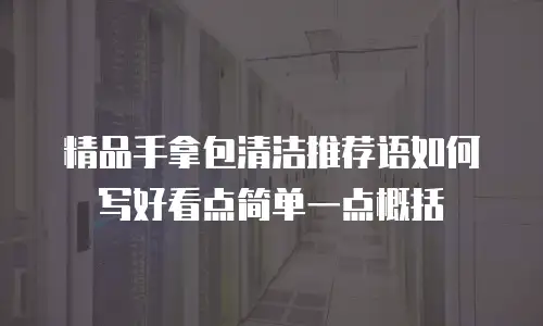 精品手拿包清洁推荐语如何写好看点简单一点概括