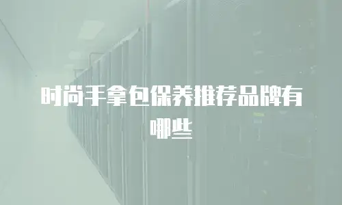 时尚手拿包保养推荐品牌有哪些