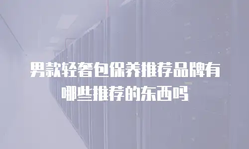 男款轻奢包保养推荐品牌有哪些推荐的东西吗