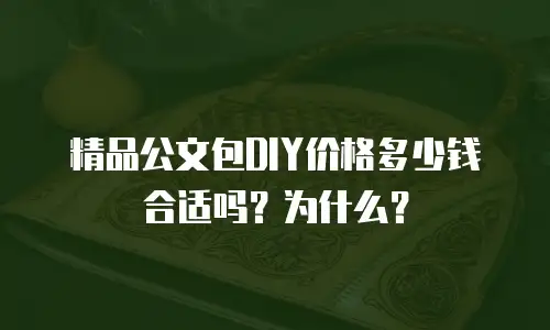 精品公文包DIY价格多少钱合适吗？为什么？