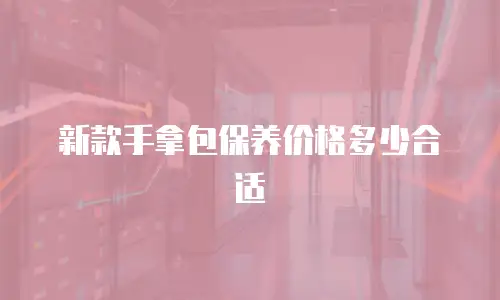 新款手拿包保养价格多少合适