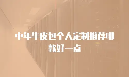 中年牛皮包个人定制推荐哪款好一点