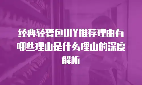 经典轻奢包DIY推荐理由有哪些理由是什么理由的深度解析