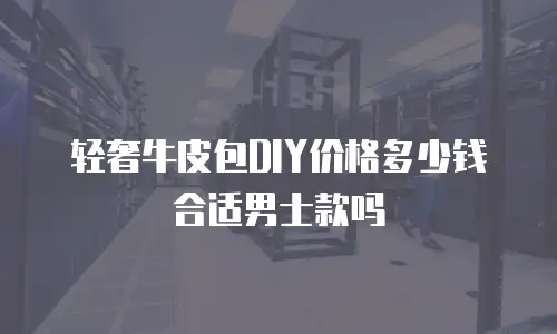 轻奢牛皮包DIY价格多少钱合适男士款吗