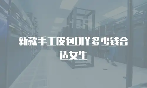 新款手工皮包DIY多少钱合适女生