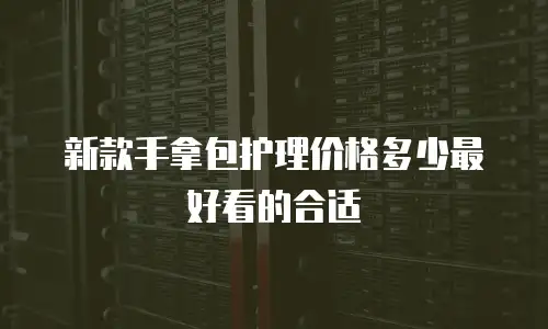 新款手拿包护理价格多少最好看的合适