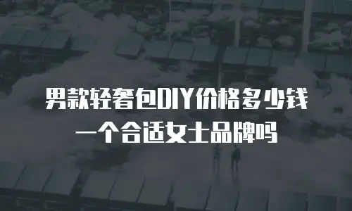 男款轻奢包DIY价格多少钱一个合适女士品牌吗