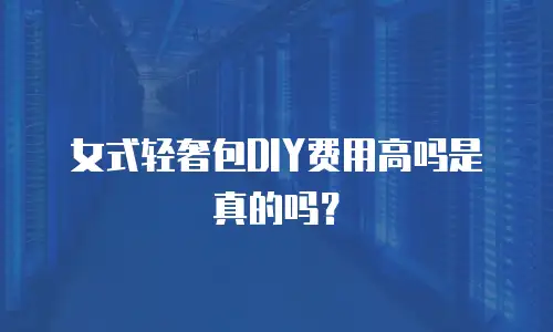 女式轻奢包DIY费用高吗是真的吗？
