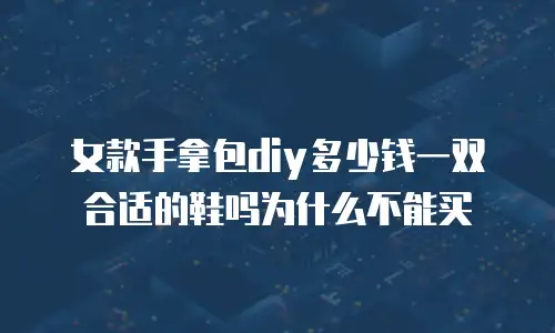 女款手拿包diy多少钱一双合适的鞋吗为什么不能买